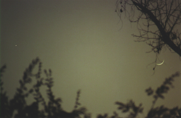 Matt's pic of Moon & Venus