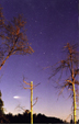 Comet Hale-Bopp