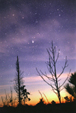 Comet Hale-Bopp in the Dawn