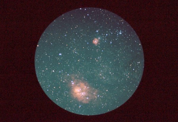 Todd's Lagoon & Trifid