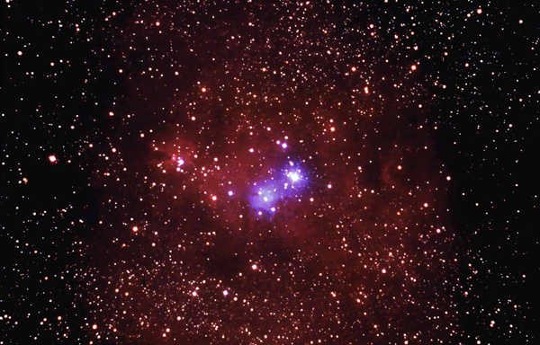 Frank & Steve's Cone Nebula