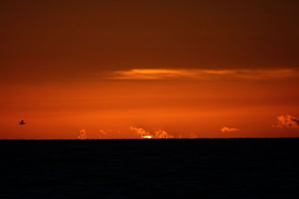 Eliz's Green Flash