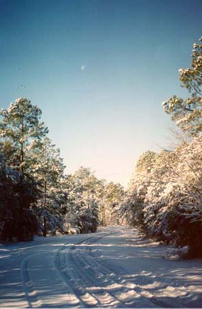 Gene's Moon over snow