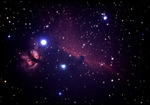 Horsehead Region