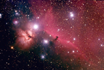 Horsehead and Flame Nebulae