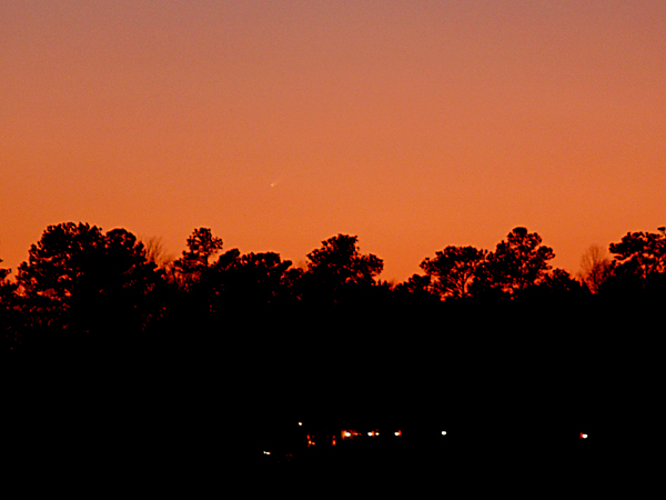 comet McNaught