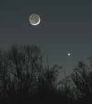 Moon & Venus