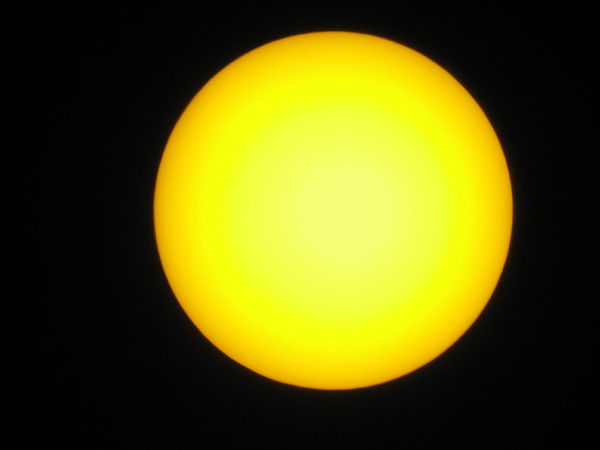Tom J Sun-Yellow