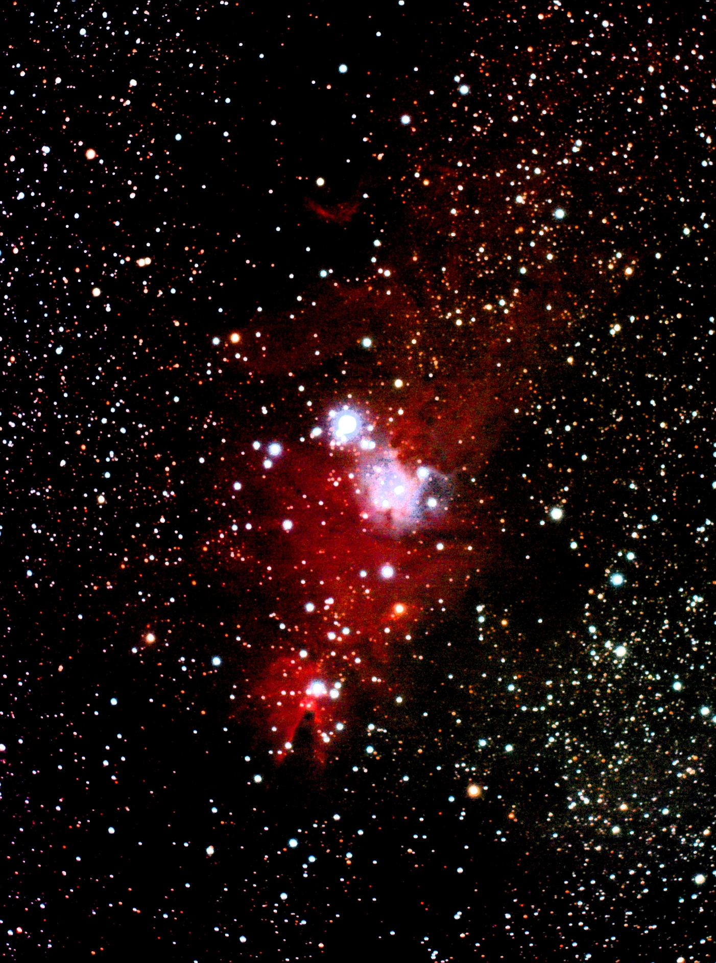 Brandon W. Christmas Tree Cluster