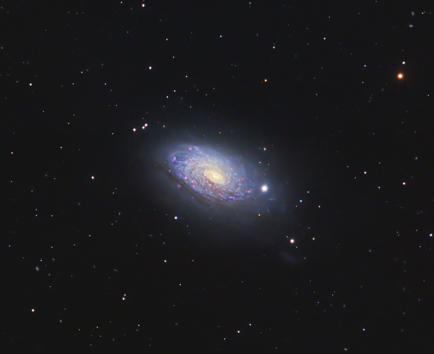 Brian P. M63 - The Sunflower Galaxy