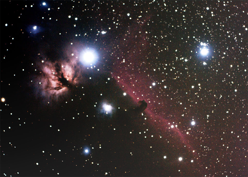 Will J. and Kevin B. Horsehead and Flame Nebulae