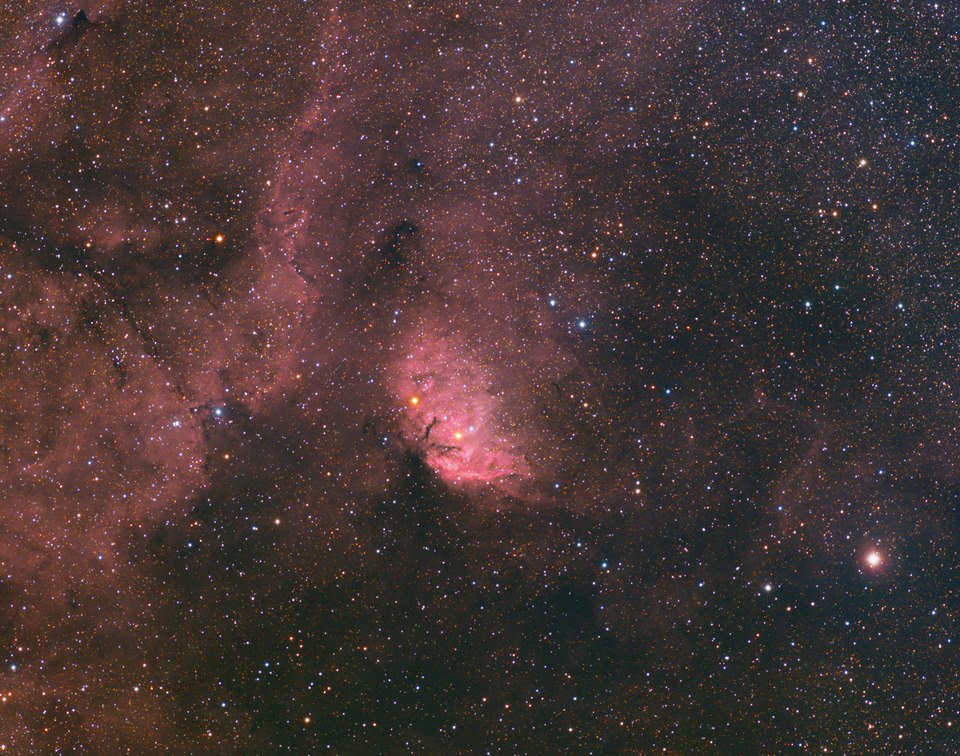 Hap Griffin - Tulip Nebula